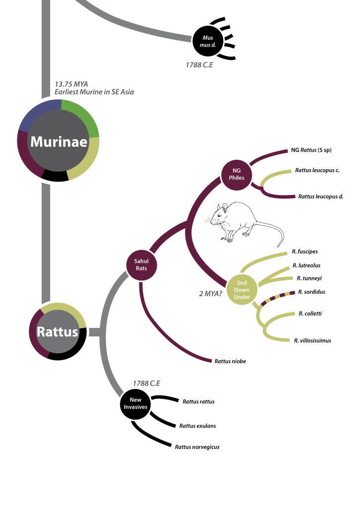 SahulMurinesBoard-02